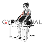 Barbell Reverse Preacher Curl (female)