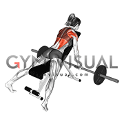 Barbell Reverse Grip Incline Row (female)