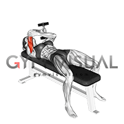 One arm pronated dumbbell triceps extension clearance