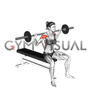 Barbell Seated Behind Head Military Press (female)