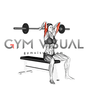 Barbell Seated Overhead Triceps Extension (female)