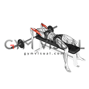 Barbell Lying Close grip Triceps Extension (female)