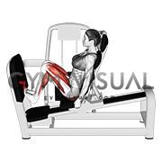 Lever Seated Squat Calf Raise on Leg Press (female) Machine