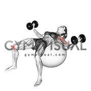 Dumbbell Fly on Exercise Ball (female)
