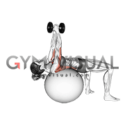 Dumbbell Pullover on Exercise Ball (female)