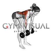 Dumbbell Palm Rotational Bent Over Row (female)