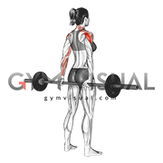Barbell rear delt raise 2025