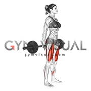 Barbell Hack Squat (female)