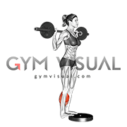 Barbell Standing Calf Raise (female)