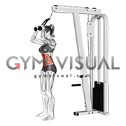 Cable Standing Crunch (with rope attachment) (female)