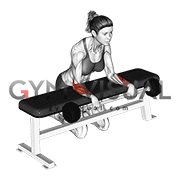 Barbell Palms Down Wrist Curl Over A Bench (female)