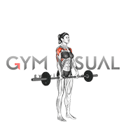 Barbell Standing Front Raise Over Head (female)