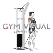 Cable One Arm Front Raise (female)