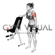 Dumbbell One Arm Lateral Raise (female)