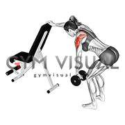 Dumbbell One Arm Reverse Fly (with support) (female)269113