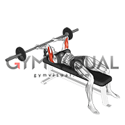 Barbell Lying Triceps Extension (female)