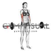 Narrow grip barbell best sale curl