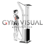 Cable Reverse One Arm Curl (female)