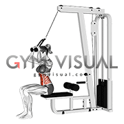Cable Seated Crunch (female)