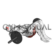 Glute bridge with barbell outlet