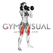 Dumbbell Front Squat (female)