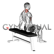 Scapula Dips