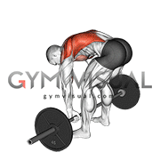 Barbell Pendlay Row