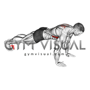 Scapula Push-Up