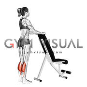 Standing Calf Raise with Support (female)