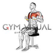Resistance Band Seated Chest Press