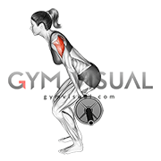 Barbell Skier (female)