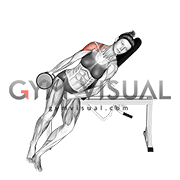 Dumbbell Incline One Arm Lateral Raise (female)