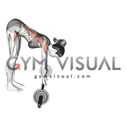 Barbell Standing ab rollout (female)