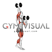 Dumbbell High Low Carry