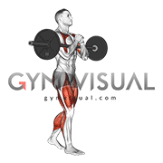Barbell Zercher Carry