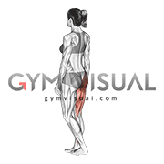 Single Leg Bodyweight Deadlift with Arm and Leg Extended (female)