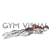 Seal Push up