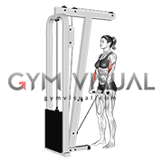 Cable Standing Reverse-Grip Curl (Straight-bar) (female)