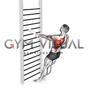 Bodyweight Standing One Arm Row (with towel)