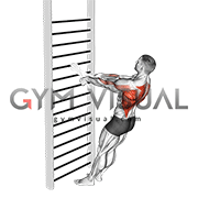 Bodyweight Standing Row (with towel)