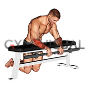 Barbell Palms Down Wrist Curl Over A Bench