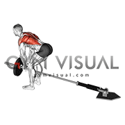 Lever Bent-over Row with V-bar (plate loaded)