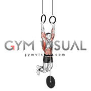 Weighted Muscle-up