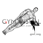 Bodyweight Incline Side Plank