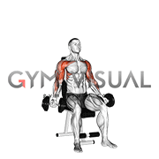 Dumbbell Seated Biceps Curl to Shoulder Press