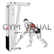 Cable One Arm Bent over Row