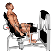 Lever Seated Hip Abduction