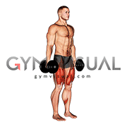 Dumbbell Squat