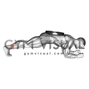Weighted Front Plank