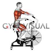 Cycle Cross Trainer